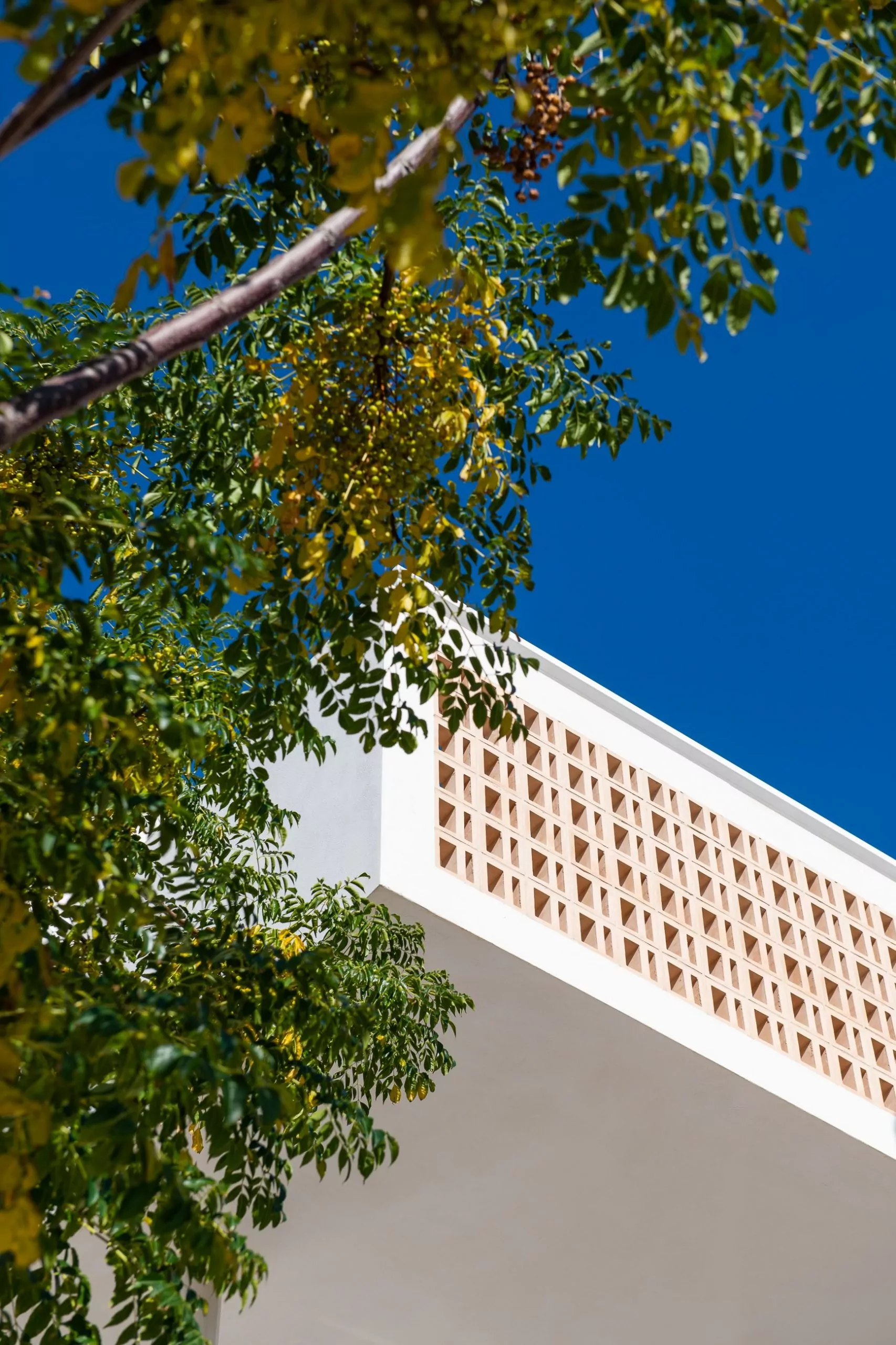 Detalle vista exterior